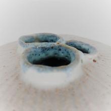 Bleur mer vase fleurs