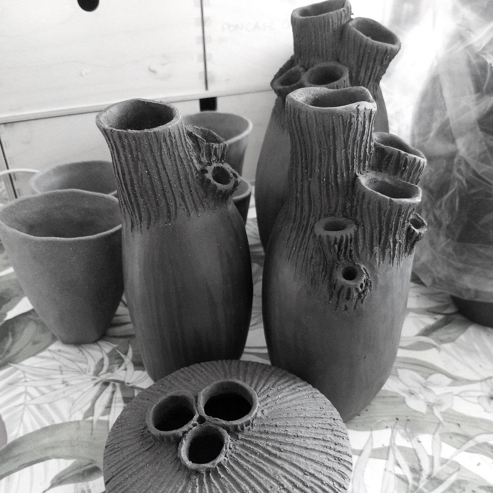Vases Haliclona